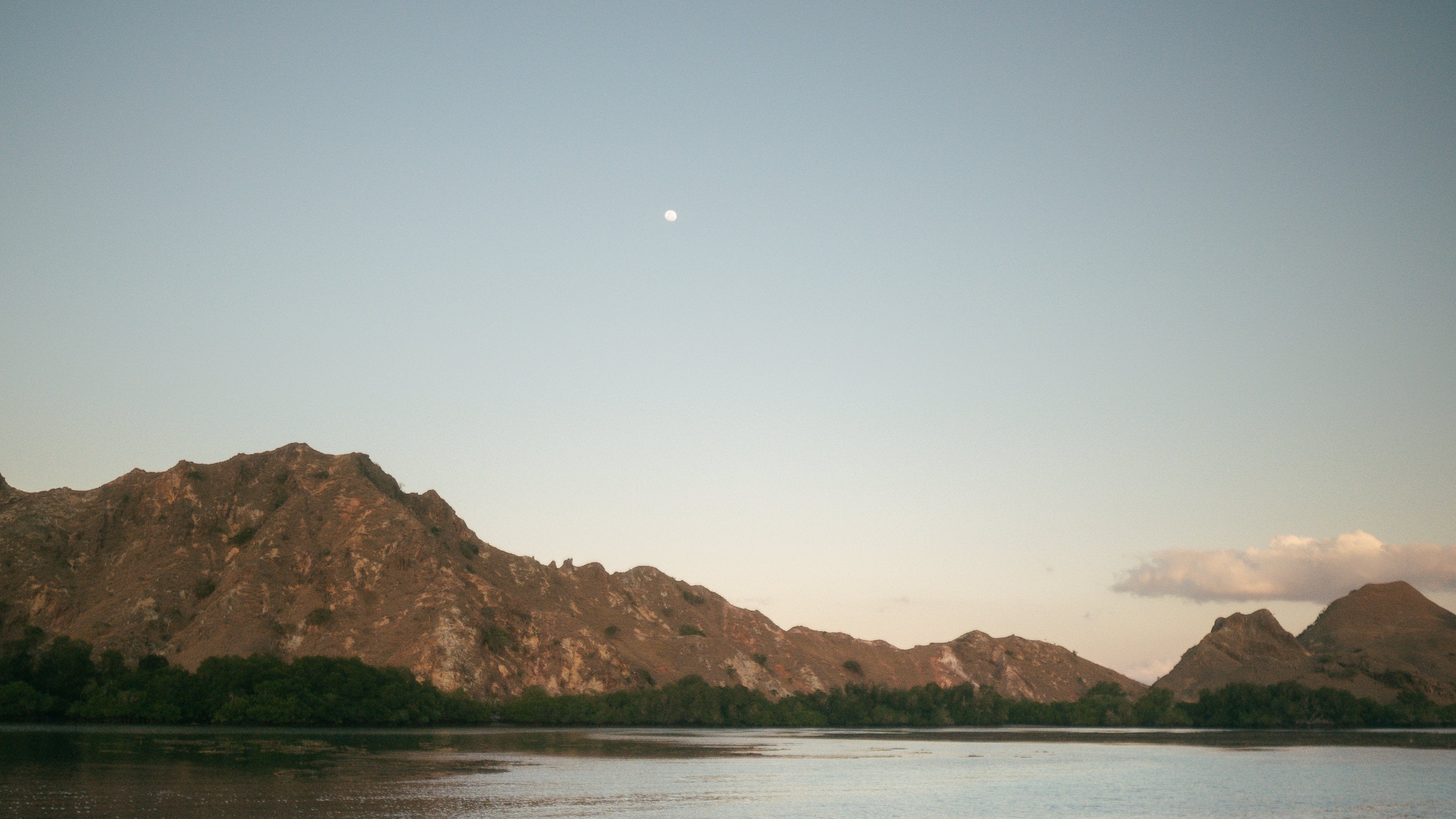 SI Experience – Real Connections. One Ocean