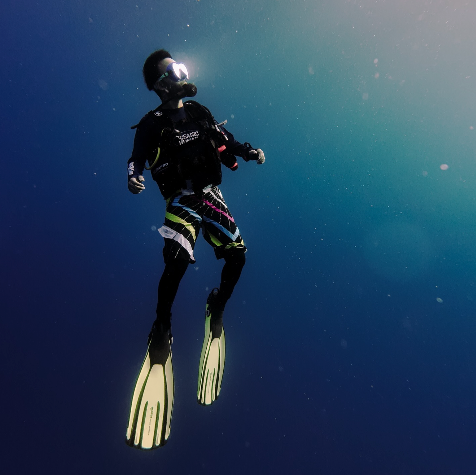 Oceanic Human Mens recycled rashguard by Surface Interval