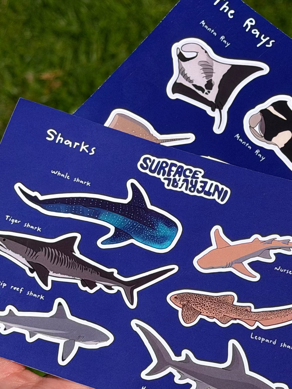 Sharks & Rays Sticker Sheet Pack ocean stickers