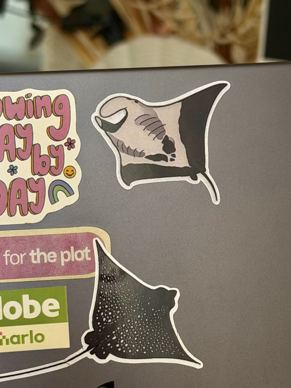 Sharks & Rays Sticker Sheet Pack ocean stickers on laptop